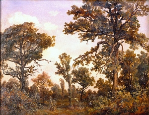The large oak tree forest of Fontainebleau, by Théodore Rousseau [Public domain]